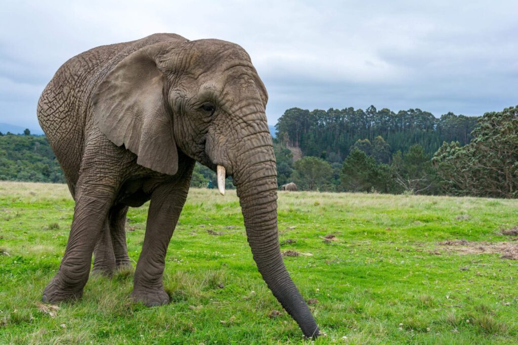 sudafrica-10