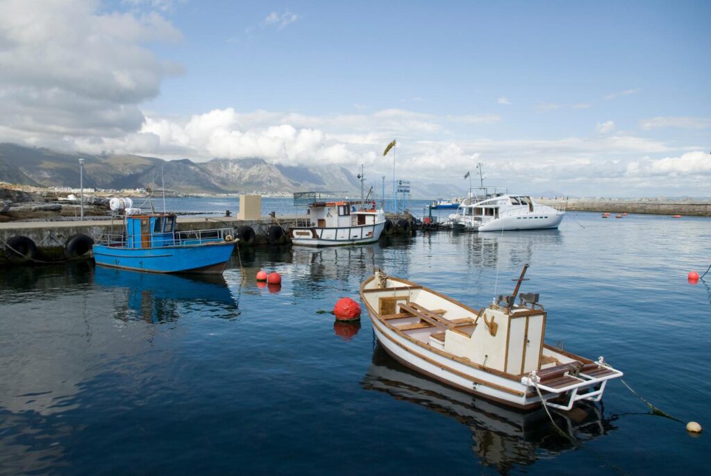 sudafrica-16