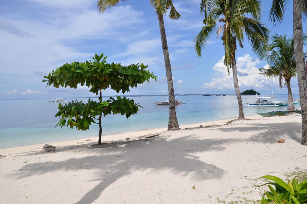 mauko-beach-1116952_1920